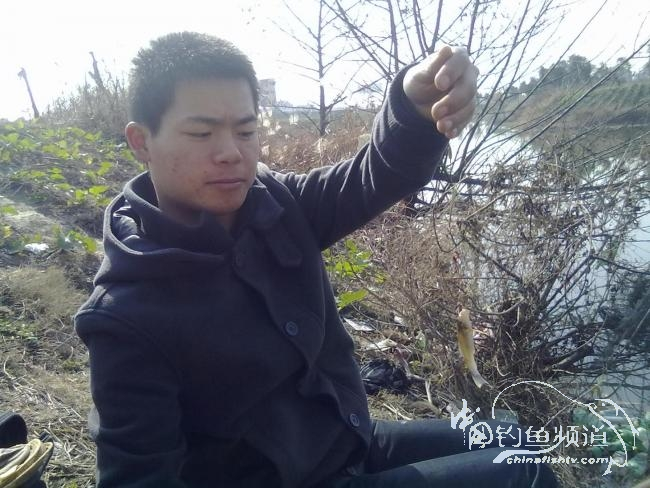 钓不尽的京杭运河22之麦穗当道 图