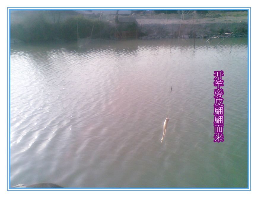乐渔杂记---一半是超级，一半是惊喜