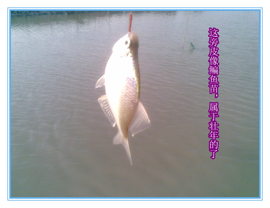 乐渔杂记---一半是超级，一半是惊喜