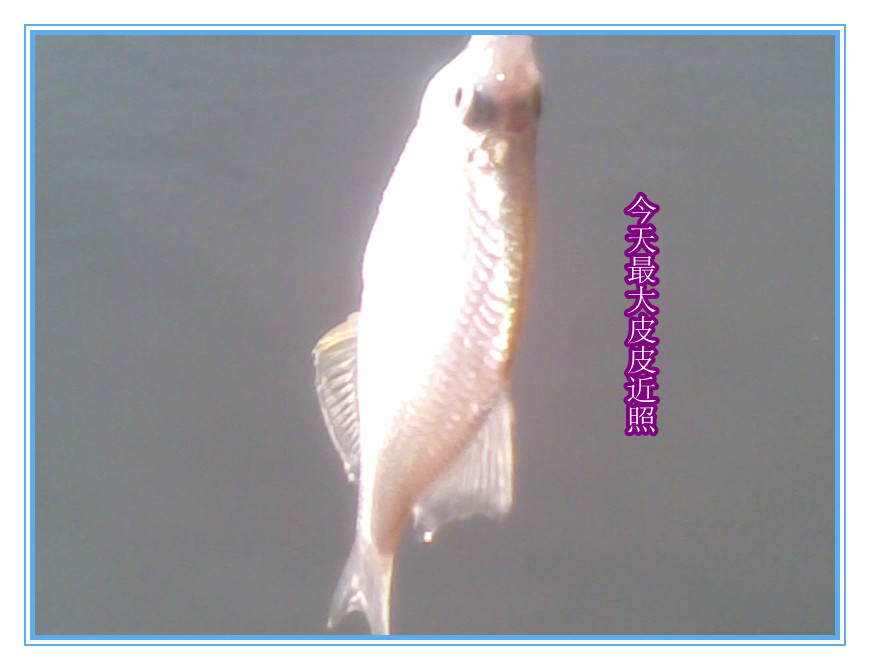 乐渔杂记---一半是超级，一半是惊喜