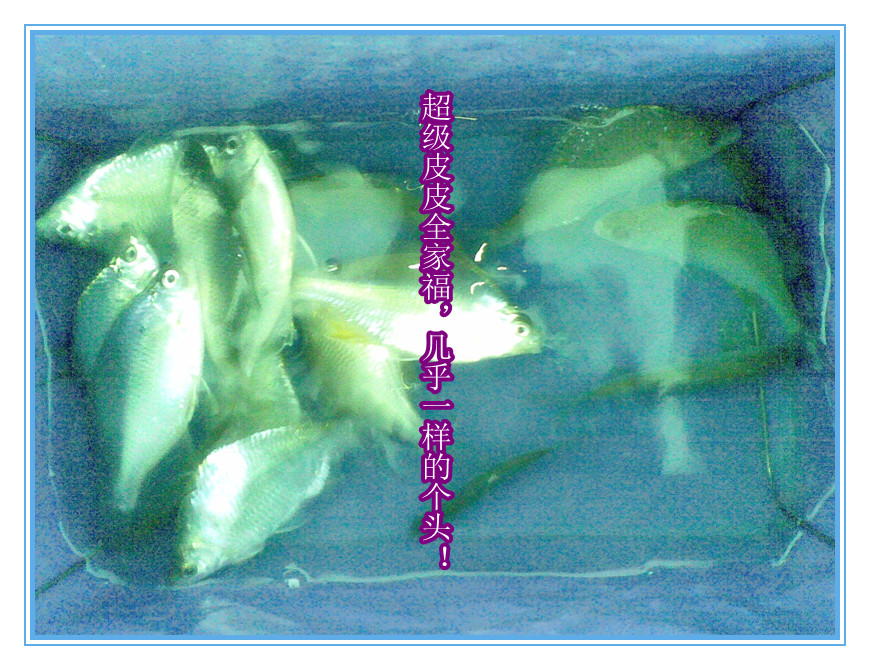 乐渔杂记---一半是超级，一半是惊喜