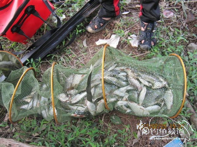 小鱼雷乐钓记——累乐、下次“戒”钓鱼