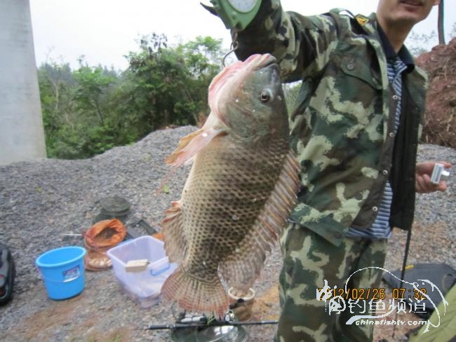 小鱼雷乐钓记——累乐、下次“戒”钓鱼